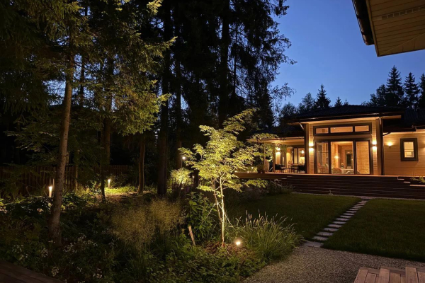 Лесная зарянка